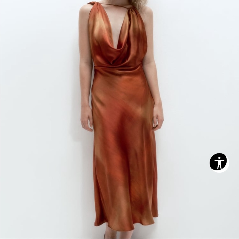 Zara silk dress